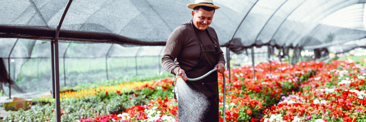 irriagtion in a greenhouse